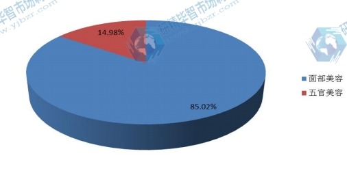 全球2015年美容电器不同应用领域销量市场份额
