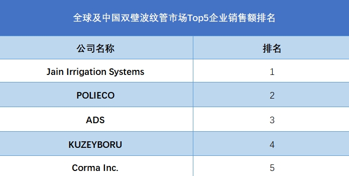 全球及中国双壁波纹管市场Top5企业销售额排名